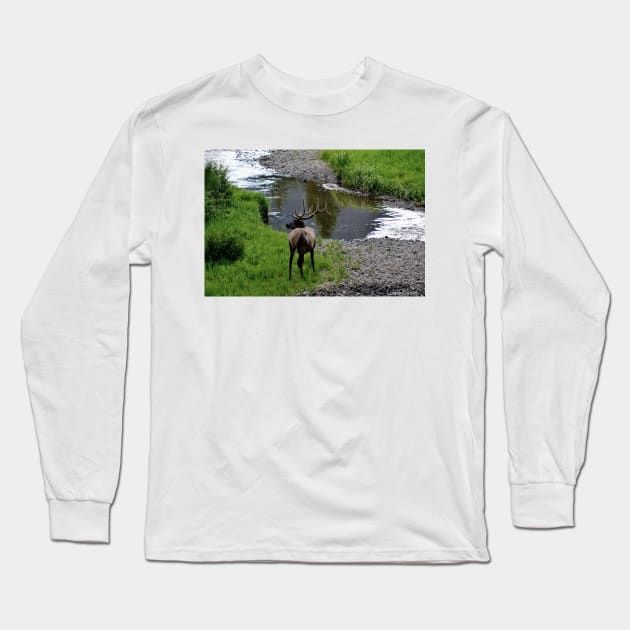 Bull by the River Long Sleeve T-Shirt by Leslie Pino Durant